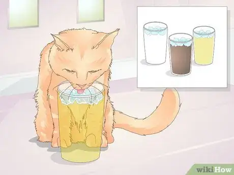 Image titled Keep Cats from Drinking Out of Glasses Step 12