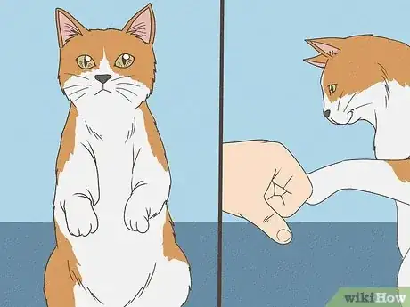 Image titled Teach Your Cat to Do Tricks Step 7