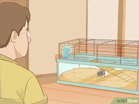 Image titled Train Your Rat to Do Tricks Step 1