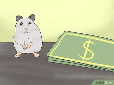 Image titled Know if a Hamster Is Right for You Step 1