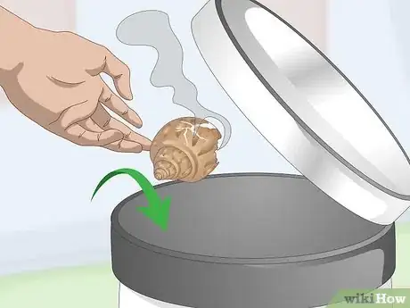 Image titled Clean a Sea Shell (for Hermit Crabs) Step 3