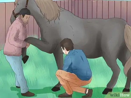 Image titled Wrap a Horse's Leg Step 4