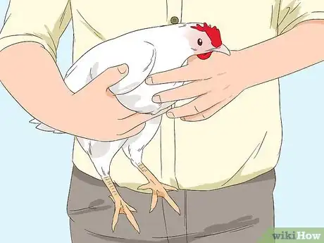 Image titled Vaccinate Chickens Step 24