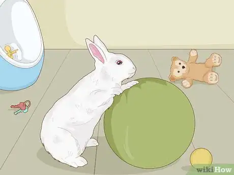 Image titled Care for Dwarf Rabbits Step 19