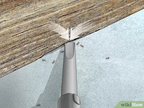 Image titled Kill Carpenter Ants Step 6