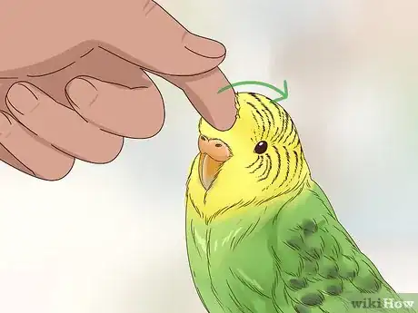 Image titled Take Care of a Budgie Step 15