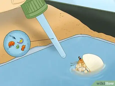 Image titled Breed Hermit Crabs Step 15