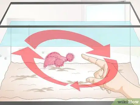 Image titled Train Your Betta Fish Step 10