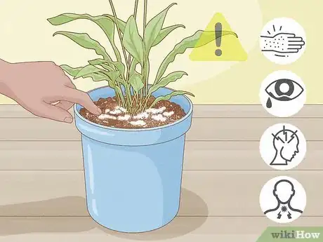Image titled Why Does Your Plant Soil Have Mold Step 9