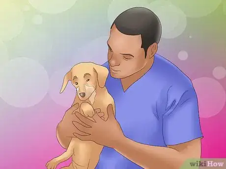 Image titled Recognize Kennel Cough in Dogs Step 15