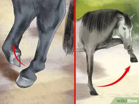 Image titled Understand Your Horse's Body Language Step 7