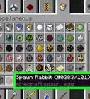 Spawn in Mob Spawners in Minecraft