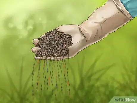 Image titled Get and Maintain a Healthy Lawn Step 10