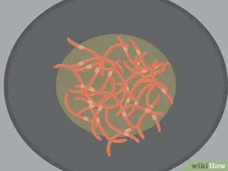 Image titled Eat Worms Step 13