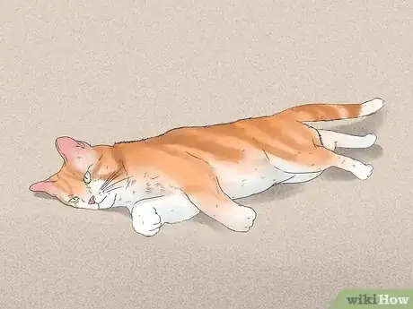 Image titled Tell if Your Cat Has FIV Step 2