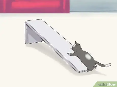 Image titled Choose a Ramp or Stairs for Your Cat Step 7