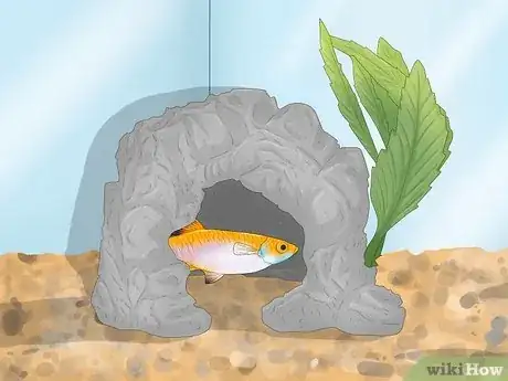 Image titled Prevent Stress in Pet Fish Step 4