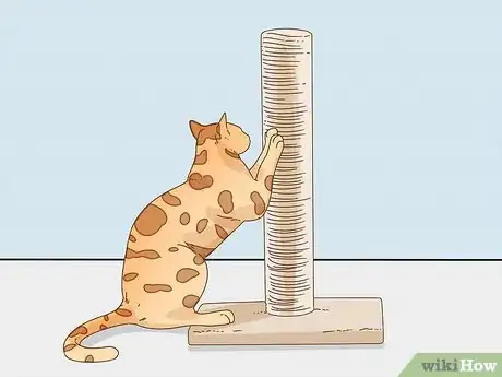 Image titled Keep a Bengal Cat Happy Step 10