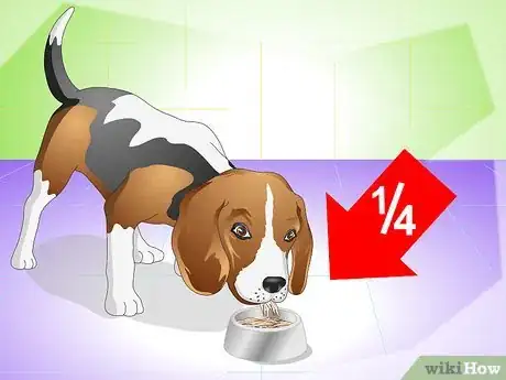 Image titled Cure a Dog's Stomach Ache Step 4