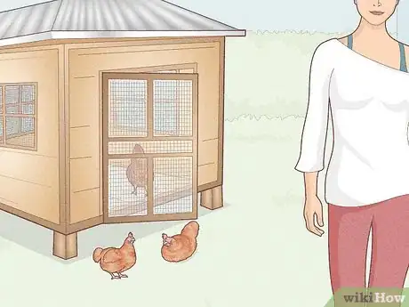 Image titled Earn Your Chicken's Trust Step 4