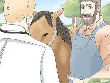 Image titled Help a Horse with a Thrown Shoe Step 10