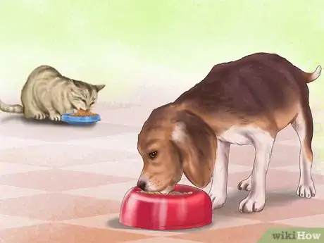 Image titled Choose the Right Place to Feed Your Cat Step 5