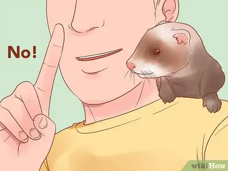 Image titled Train Your Ferrets to Do Tricks Step 7