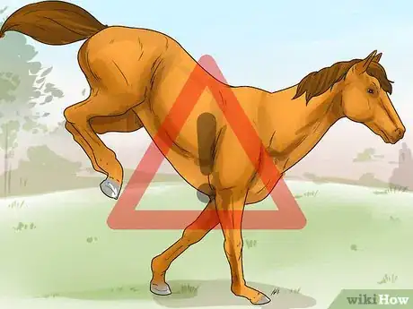 Image titled Tell if Your Horse Needs Hock Injections Step 7