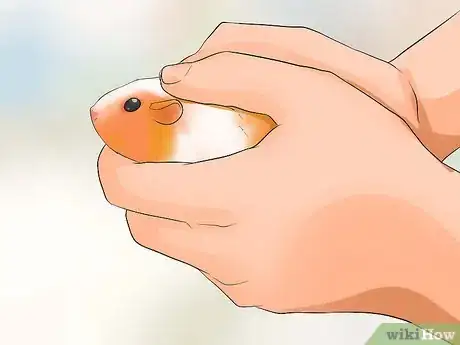 Image titled Pick up Your Hamster Step 9