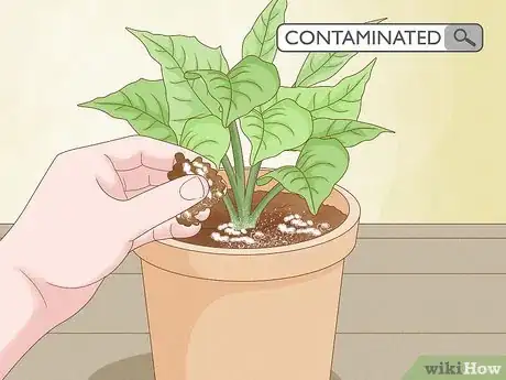 Image titled Why Does Your Plant Soil Have Mold Step 3