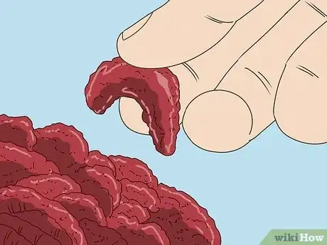 Image titled Tell if Ground Beef Has Gone Bad Step 3