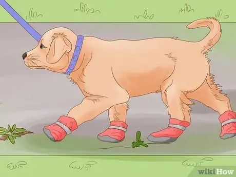 Image titled Moisturize Dog Paws Step 12