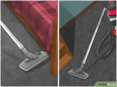 Image titled Get Rid of Fleas in Carpets Step 1