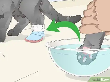 Image titled Clean Your Cat's Feet Step 11