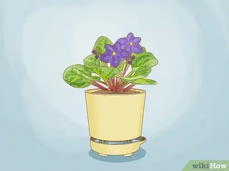 Image titled Use Self Watering Pots Step 14