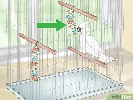 Image titled Take Care of Cockatoos Step 3