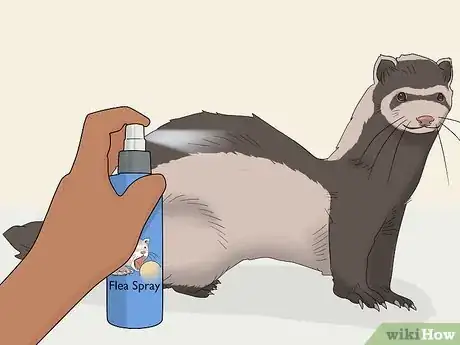 Image titled Train Your Ferret to Walk on a Leash Step 9