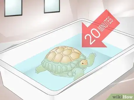 Image titled Bathe a Tortoise Step 3