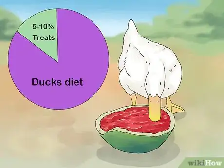 Image titled Feed Ducks Step 6