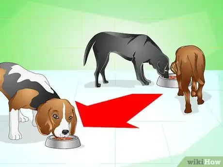 Image titled Get Your Dog to Eat the Dog Food It Does Not Like Step 9