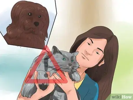 Image titled Get Your Cat to Stop Hissing Step 10