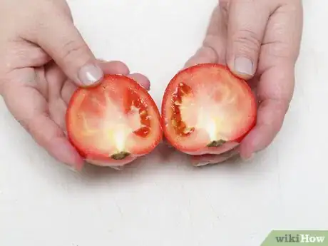 Image titled Seed Tomatoes Step 5