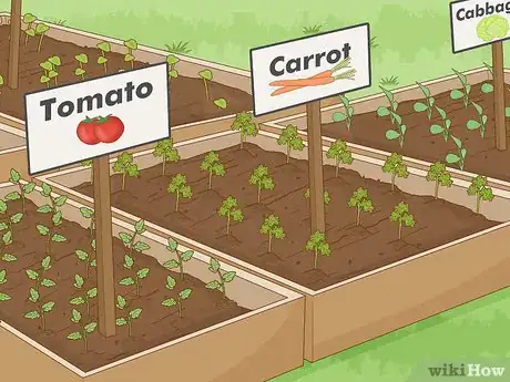 Image titled Start an Organic Vegetable Garden Step 11