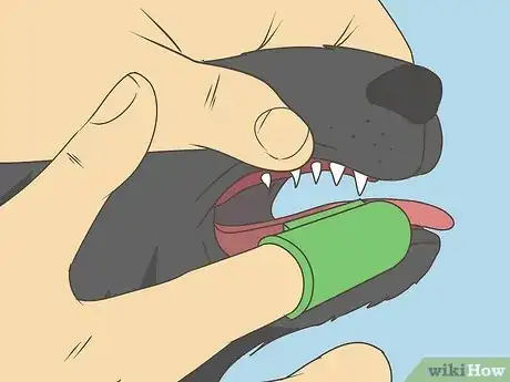 Image titled Why Are Puppy Teeth So Sharp Step 10