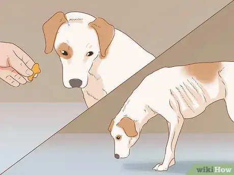 Image titled Tell if Your Dog Is Depressed Step 5