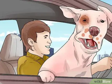 Image titled Deal With Your Dog's Fear of Vehicles Step 18