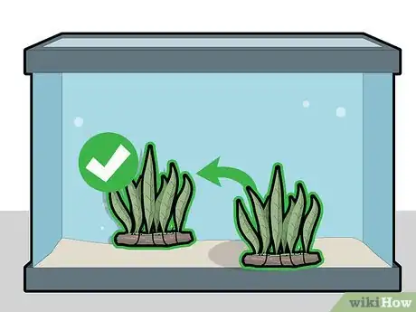 Image titled Plant a Java Fern Step 6