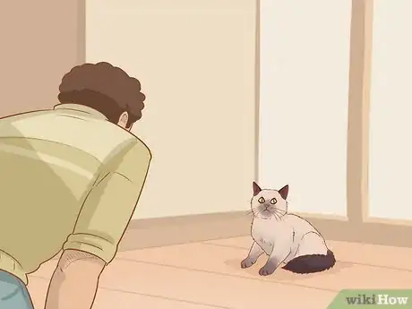 Image titled Keep a Cat from Waking You Up Step 5