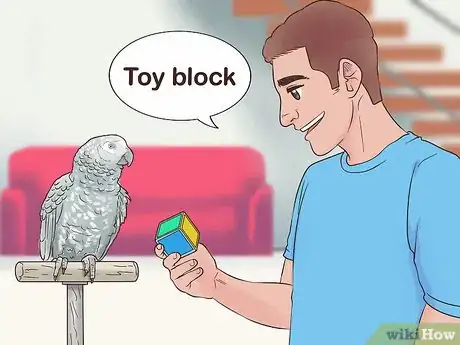 Image titled Encourage an African Grey Parrot to Speak Step 13