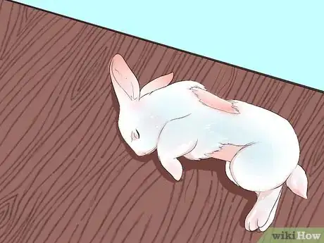 Image titled Transport a Rabbit Step 14